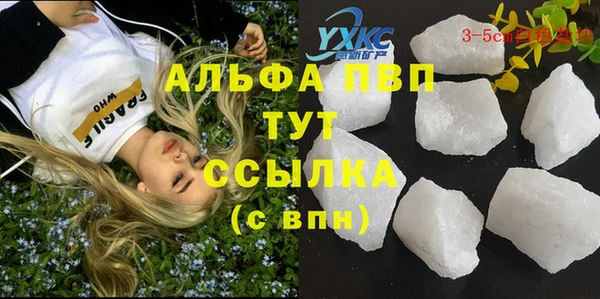 сатива Арсеньев