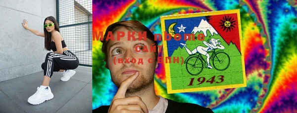 хмурый Алзамай