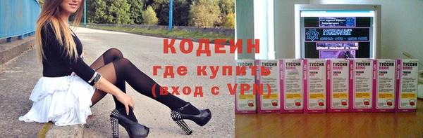 хмурый Алзамай