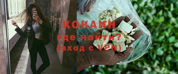 сатива Арсеньев