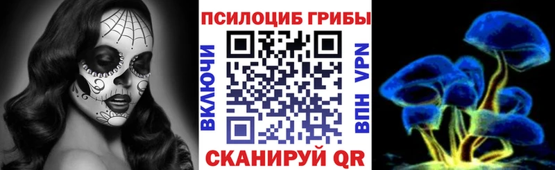 Псилоцибиновые грибы прущие грибы цены наркотик omg как войти Усть-Джегута