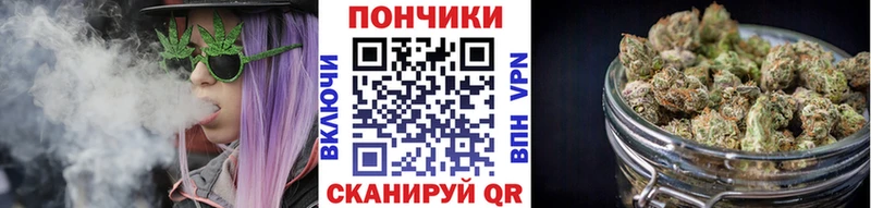 mega маркетплейс  Усть-Джегута  МАРИХУАНА Amnesia  дарнет шоп 